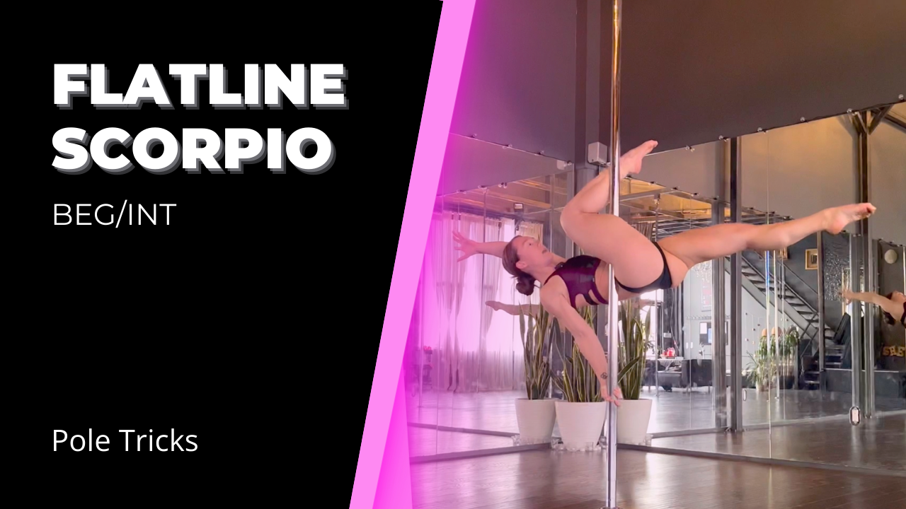 Gemini To Flatline Scorpio L1 - Floor Leg Switch