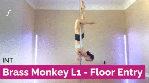 Brass Monkey L1 - Floor Entry