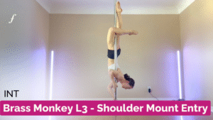 Brass Monkey L3 - Shoulder Mount Entry