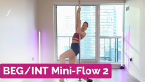 BEG/INT Mini-Flow 2
